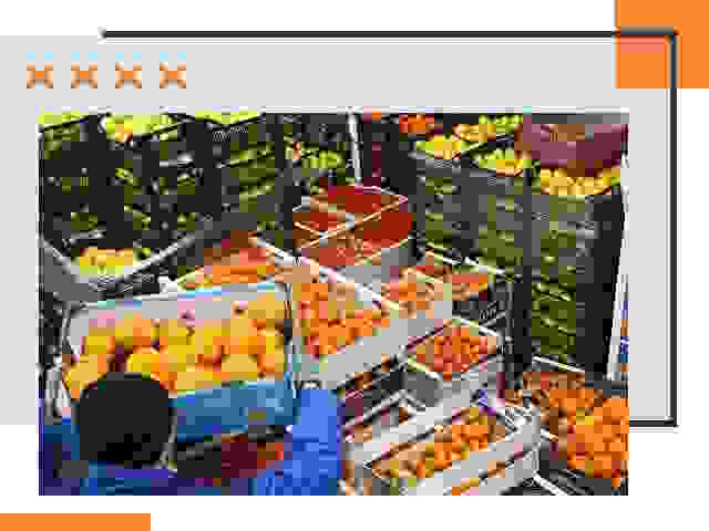 Перевозка скоропортящихся продуктов в Когалыме